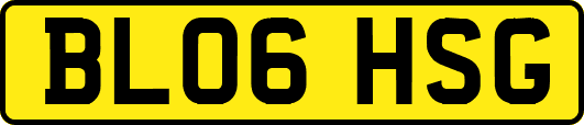 BL06HSG