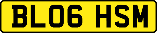 BL06HSM