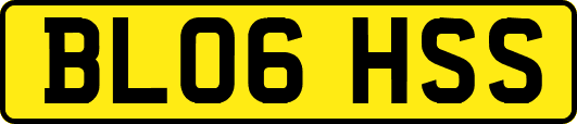 BL06HSS