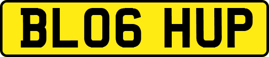 BL06HUP