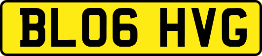 BL06HVG