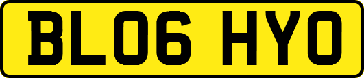 BL06HYO