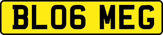 BL06MEG