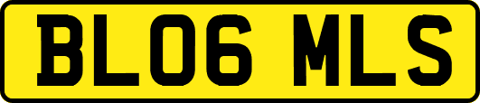 BL06MLS