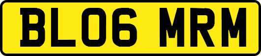BL06MRM