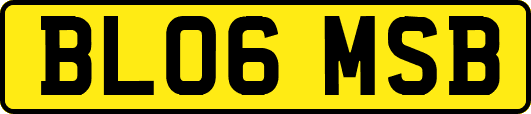 BL06MSB