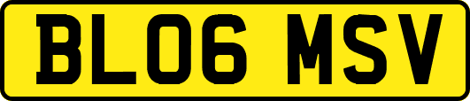 BL06MSV