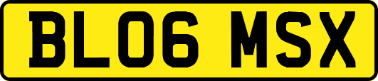 BL06MSX