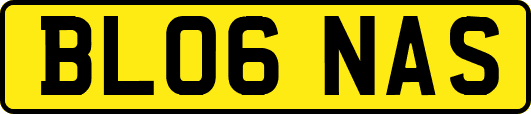 BL06NAS