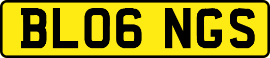 BL06NGS