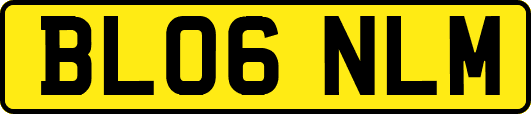 BL06NLM