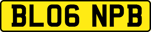 BL06NPB