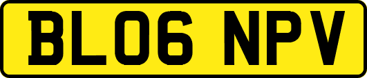 BL06NPV