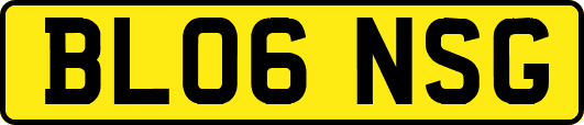 BL06NSG