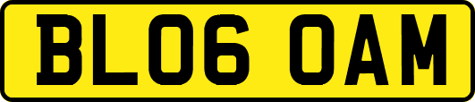 BL06OAM