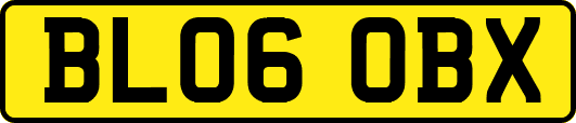 BL06OBX