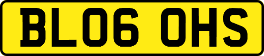 BL06OHS