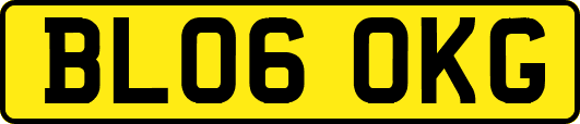 BL06OKG