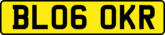 BL06OKR