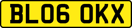 BL06OKX