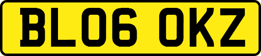 BL06OKZ
