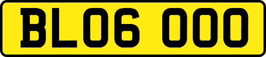 BL06OOO