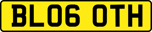 BL06OTH