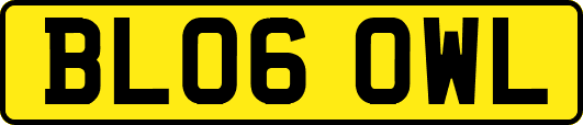 BL06OWL