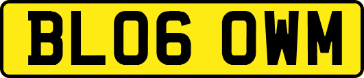 BL06OWM