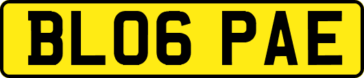 BL06PAE