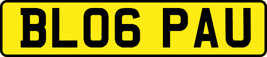 BL06PAU