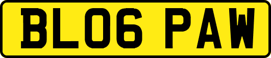 BL06PAW