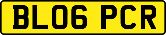 BL06PCR
