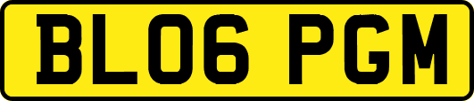 BL06PGM