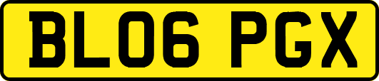 BL06PGX