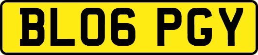 BL06PGY