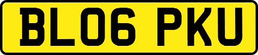 BL06PKU