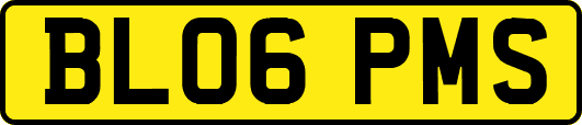 BL06PMS