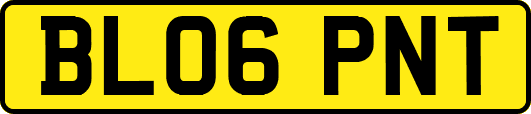 BL06PNT