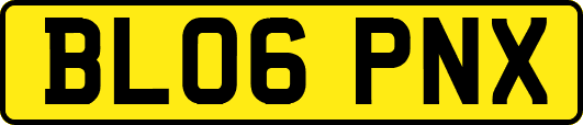 BL06PNX