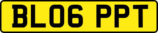 BL06PPT
