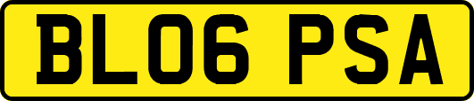 BL06PSA