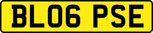 BL06PSE