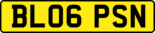 BL06PSN