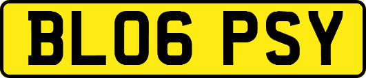 BL06PSY