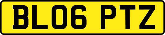 BL06PTZ