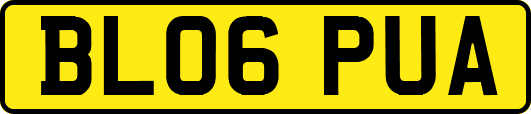 BL06PUA