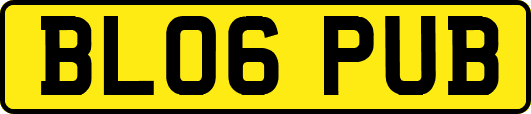 BL06PUB