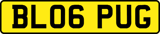 BL06PUG
