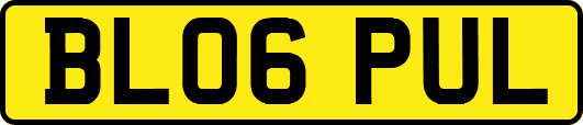 BL06PUL